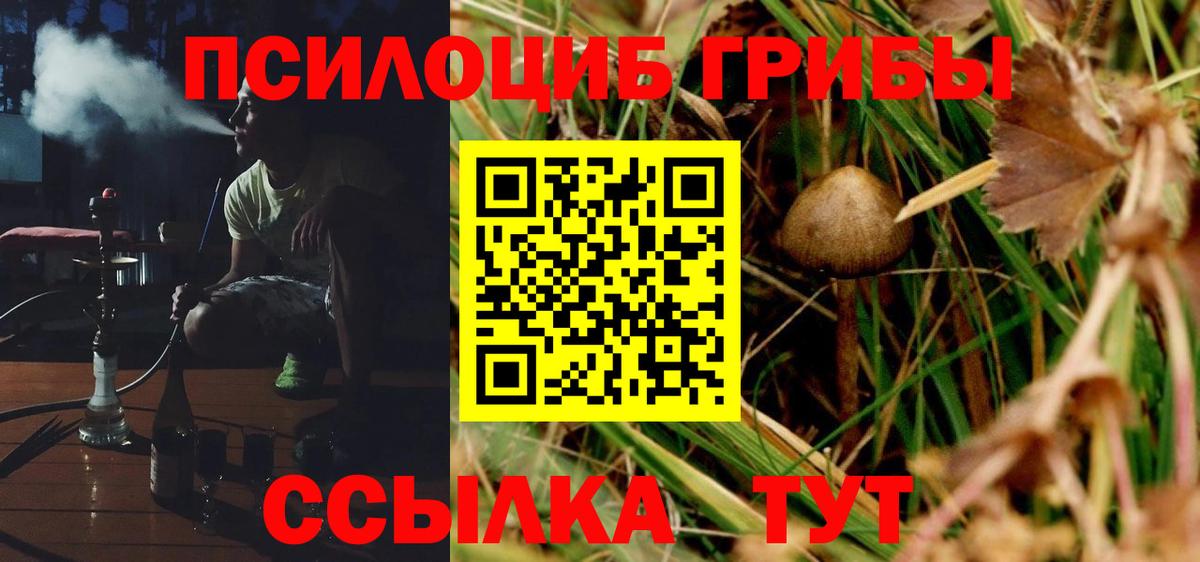 Кострома  Галлюциногенные грибы Psilocybe  Вход с VPN  Галлюциногенные грибы Magic Shrooms 